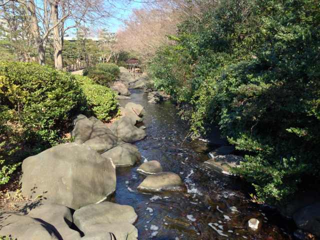 しながわ区民公園の渓流