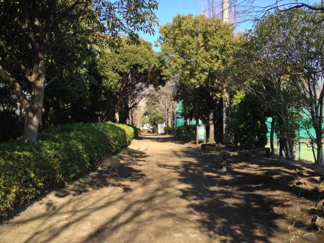 しながわ区民公園の東の園路