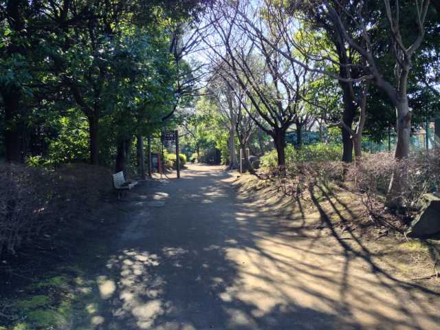 しながわ区民公園の西の園路