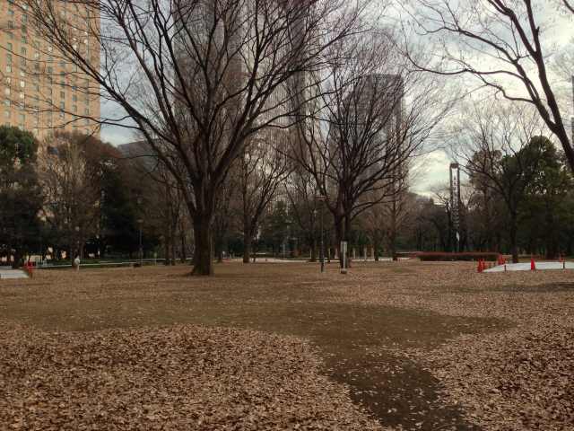 新宿中央公園の大きいほうの芝生広場