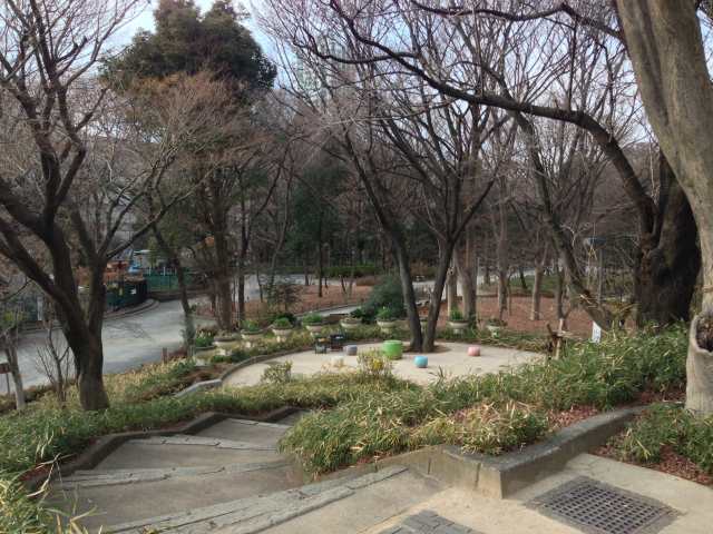 新宿中央公園の富士見台