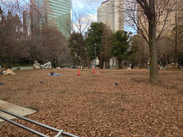 新宿中央公園の小さいほうの芝生広場