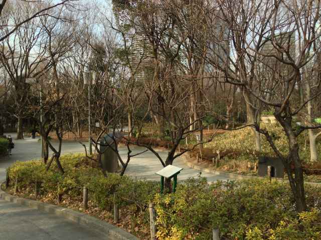 区民の森