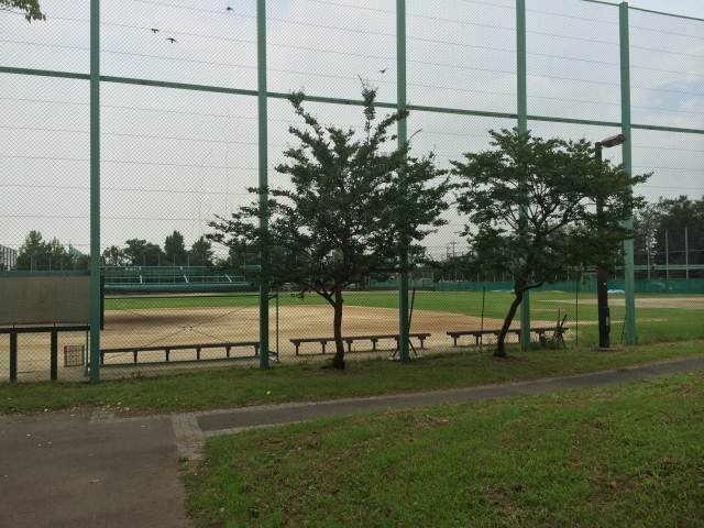 江戸川区少年野球場