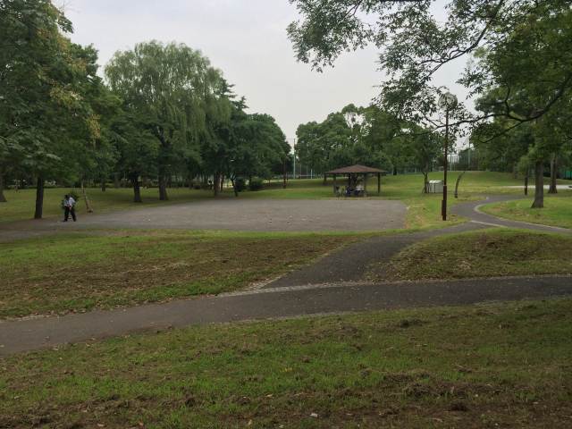 篠崎公園の多目的広場（B地区）