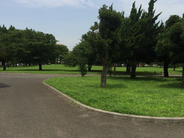 篠崎公園の芝山広場
