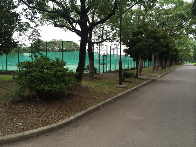 篠崎公園のテニスコート