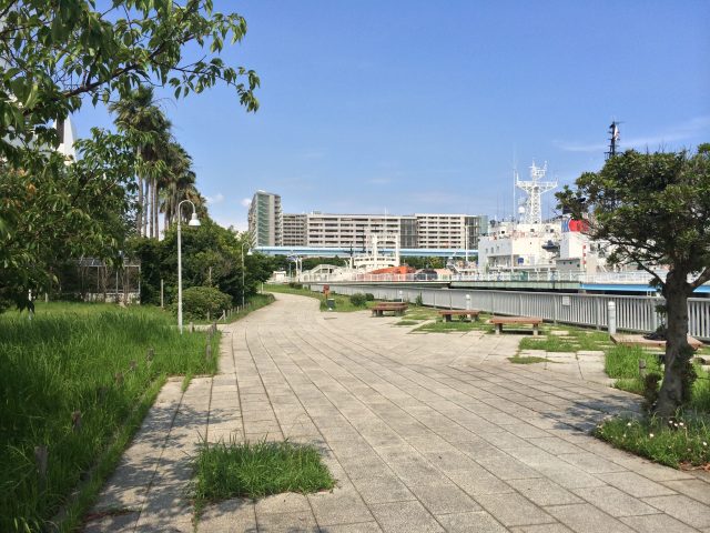 東八潮南緑道公園