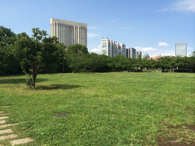 潮風公園の陽だまり広場