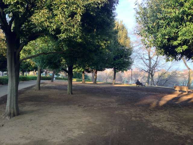 祖師谷公園の見晴らし広場