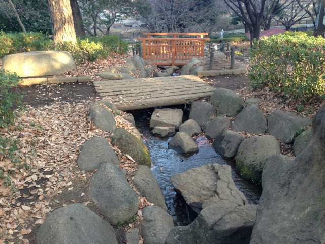 祖師谷公園の湧水池