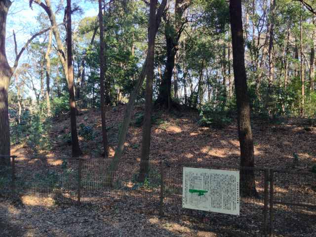 石神井城跡の土手