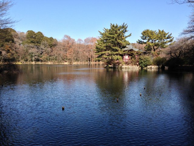 三宝寺池~神社を含む景色