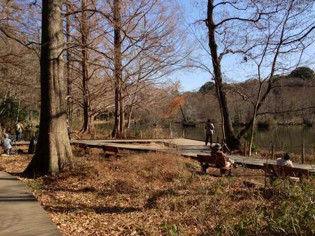 石神井公園のA地区・北の園路