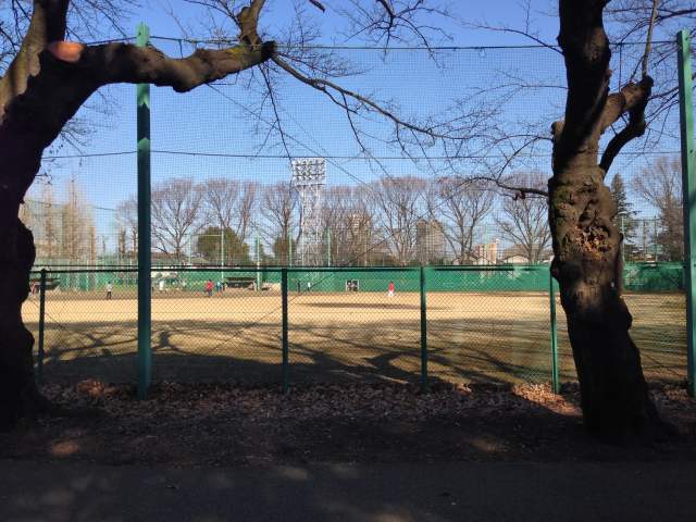 石神井公園のA地区野球場