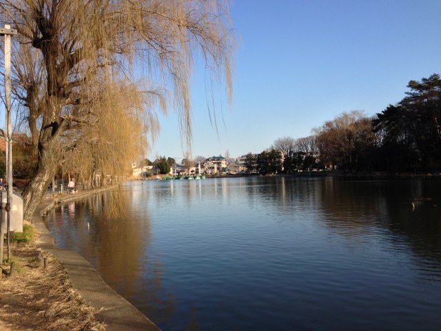 石神井公園のB地区・北の園路