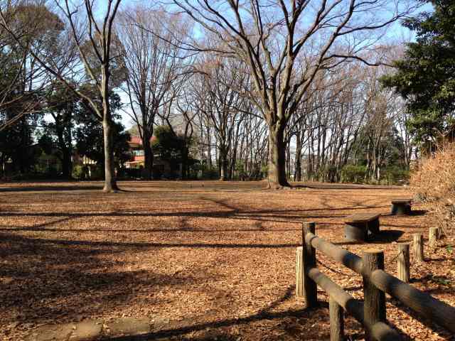 石神井公園のふくろう広場