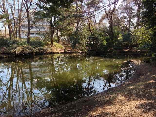 牧野記念庭園