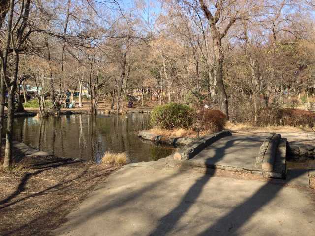 石神井公園のひょうたん池