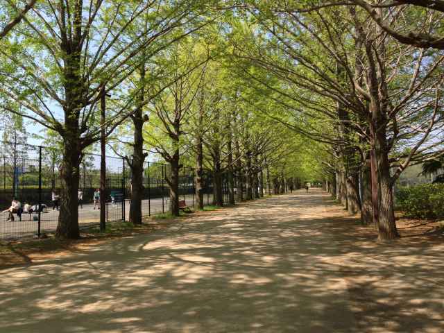昭和記念公園のスポーツエリア