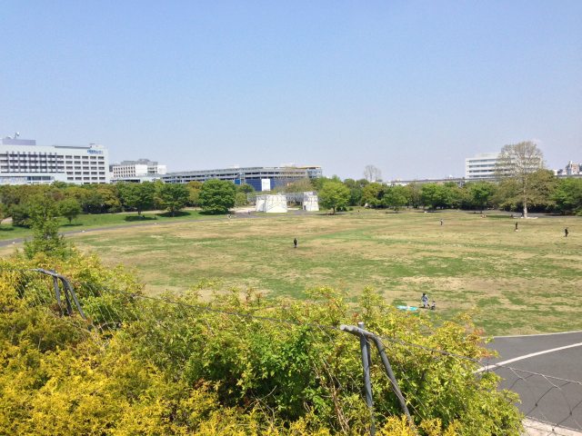 昭和記念公園のゆめひろば