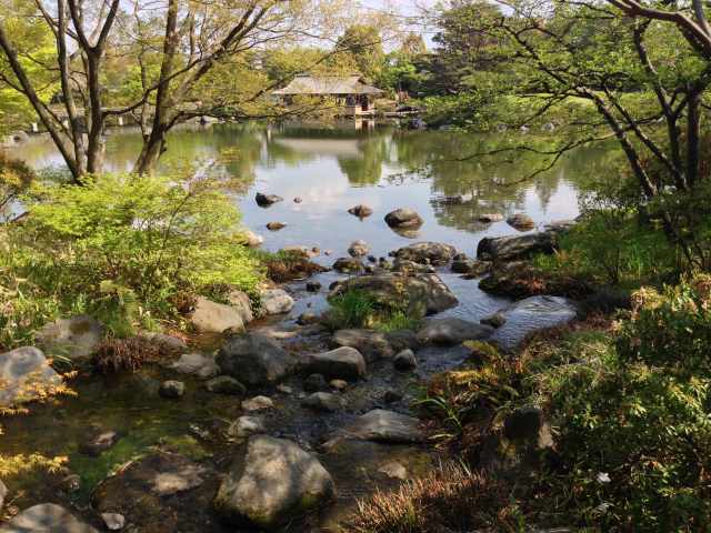 日本庭園内にある池の眺め