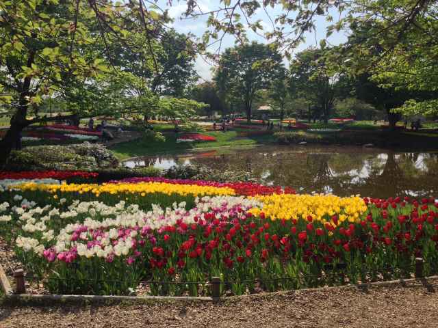 渓流広場～池の周囲を花が囲む