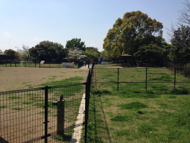 昭和記念公園のドッグラン