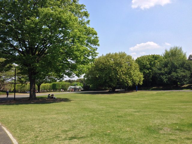 昭和記念公園のふれあい広場