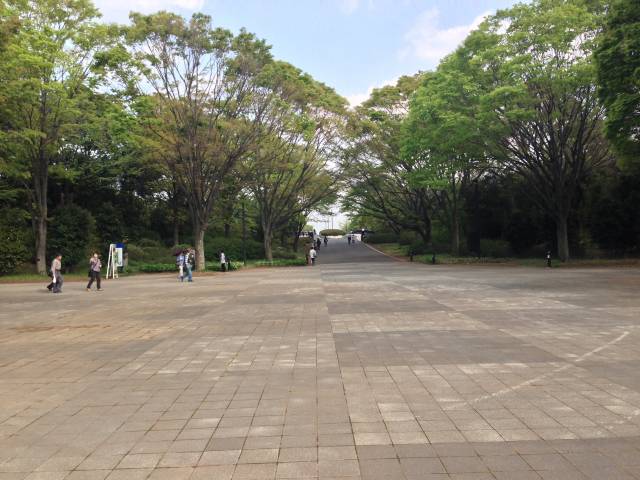 昭和記念公園のふれあい橋
