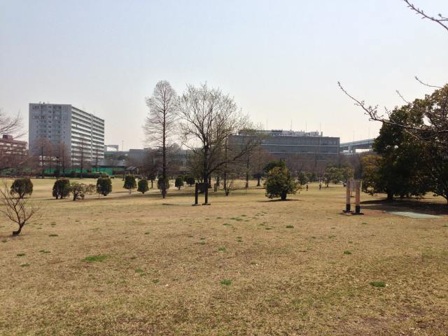 辰巳の森海浜公園のディスクゴルフ場