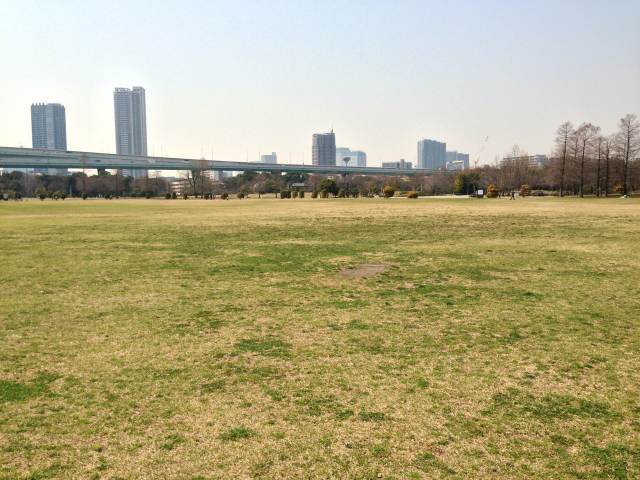 辰巳の森海浜公園の多目的広場
