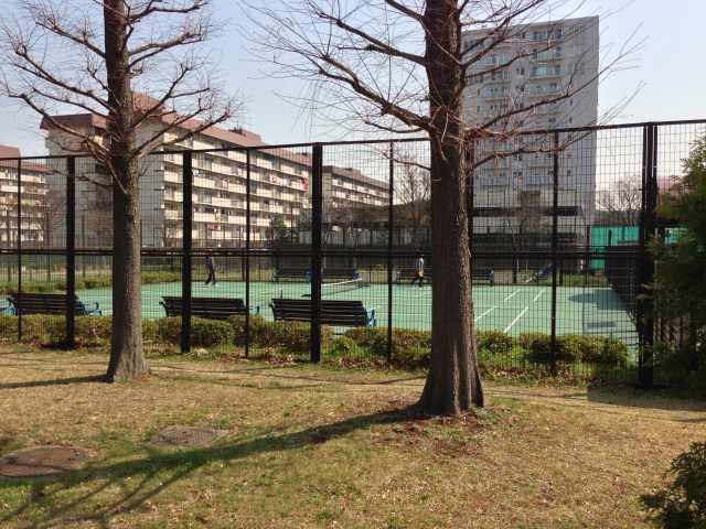 辰巳の森海浜公園のニュースポーツ