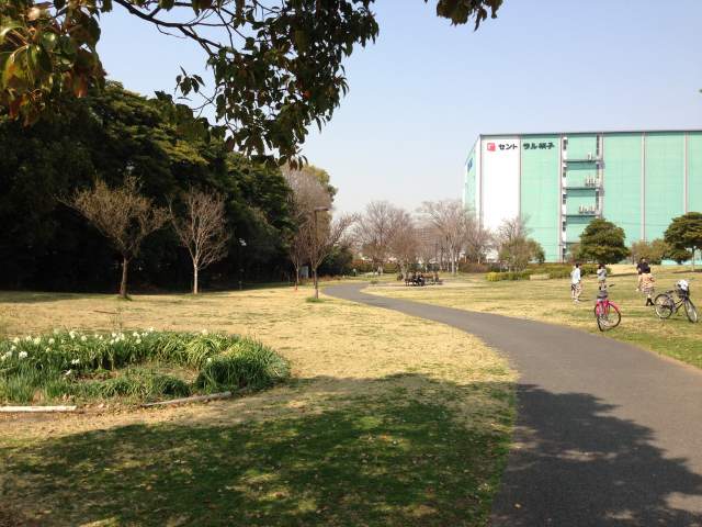 辰巳の森海浜公園のマレットゴルフ広場