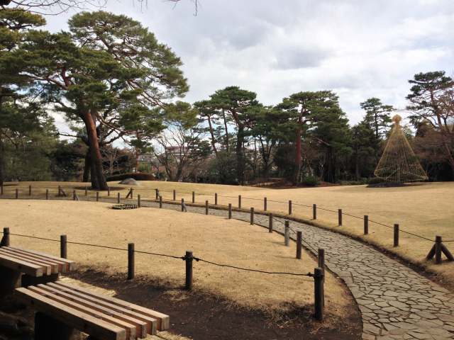 殿ヶ谷戸庭園の大芝生