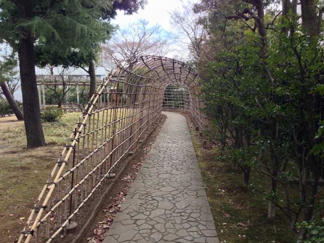 殿ヶ谷戸庭園の萩のトンネル