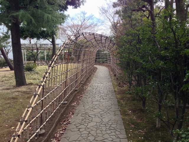 殿ヶ谷戸庭園の萩のトンネル