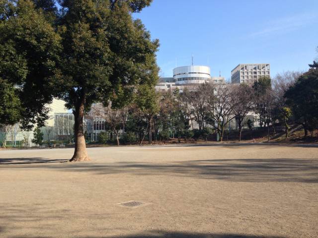 戸山公園の運動広場