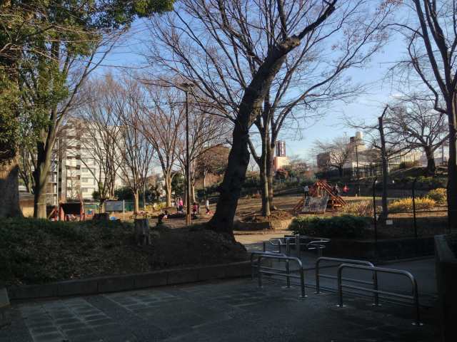 戸山公園ののびのび広場