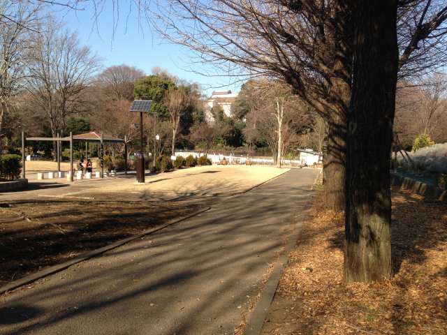 戸山公園の花の広場