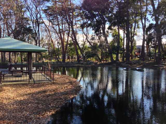 塚山公園の水辺の広場