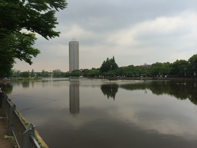 東から見た浮間公園の池面