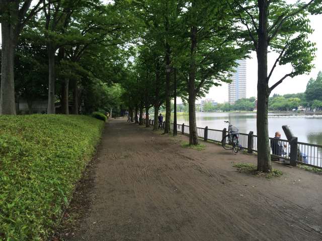 浮間公園の東の園路