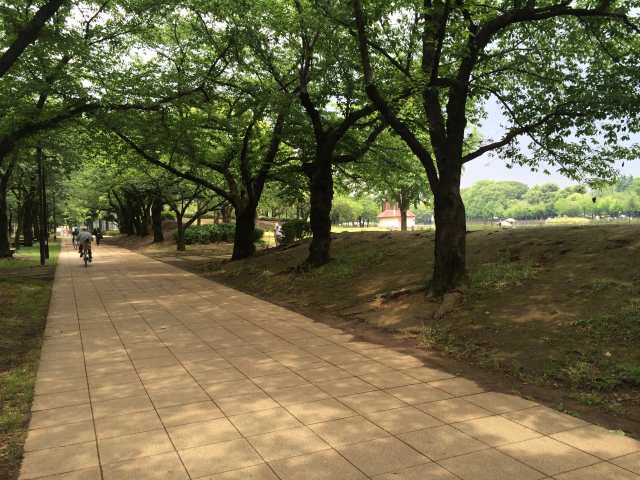 浮間公園の西の園路