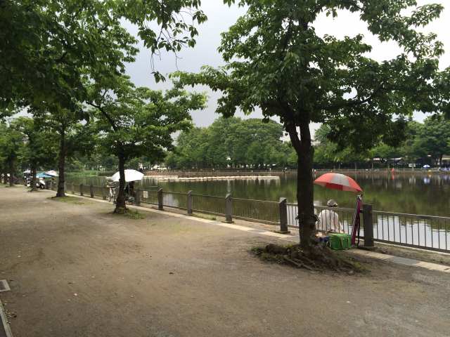 西から見た浮間公園の池面""