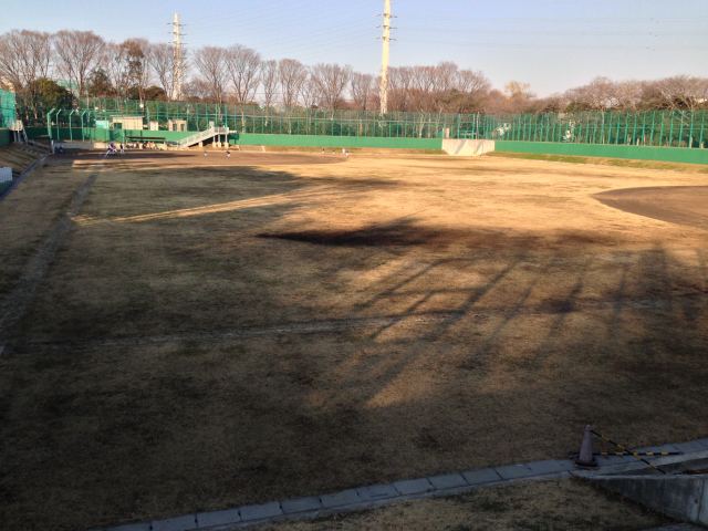 和田掘公園の野球場