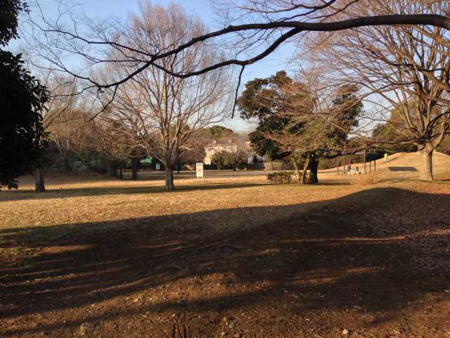 和田掘公園のわんぱく広場