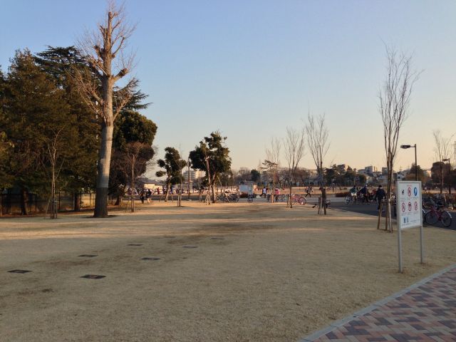 済美山運動広場