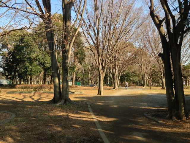 和田掘公園のけやき広場