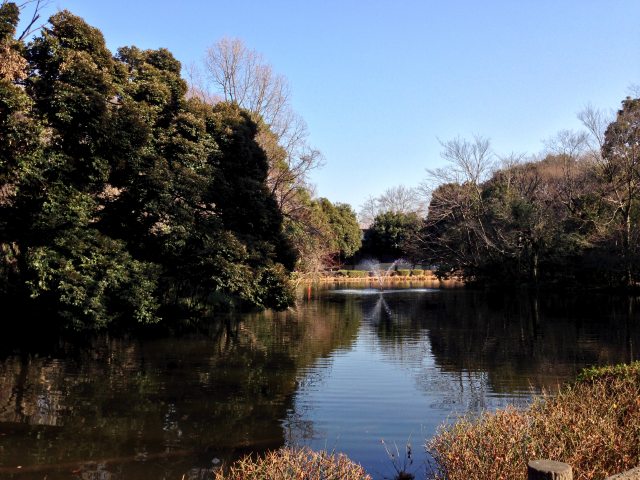 和田掘公園の和田堀池